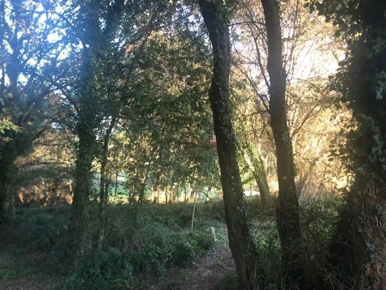 Terreni e lotti in vendita a Nogueira de Ramuín, imagen 5