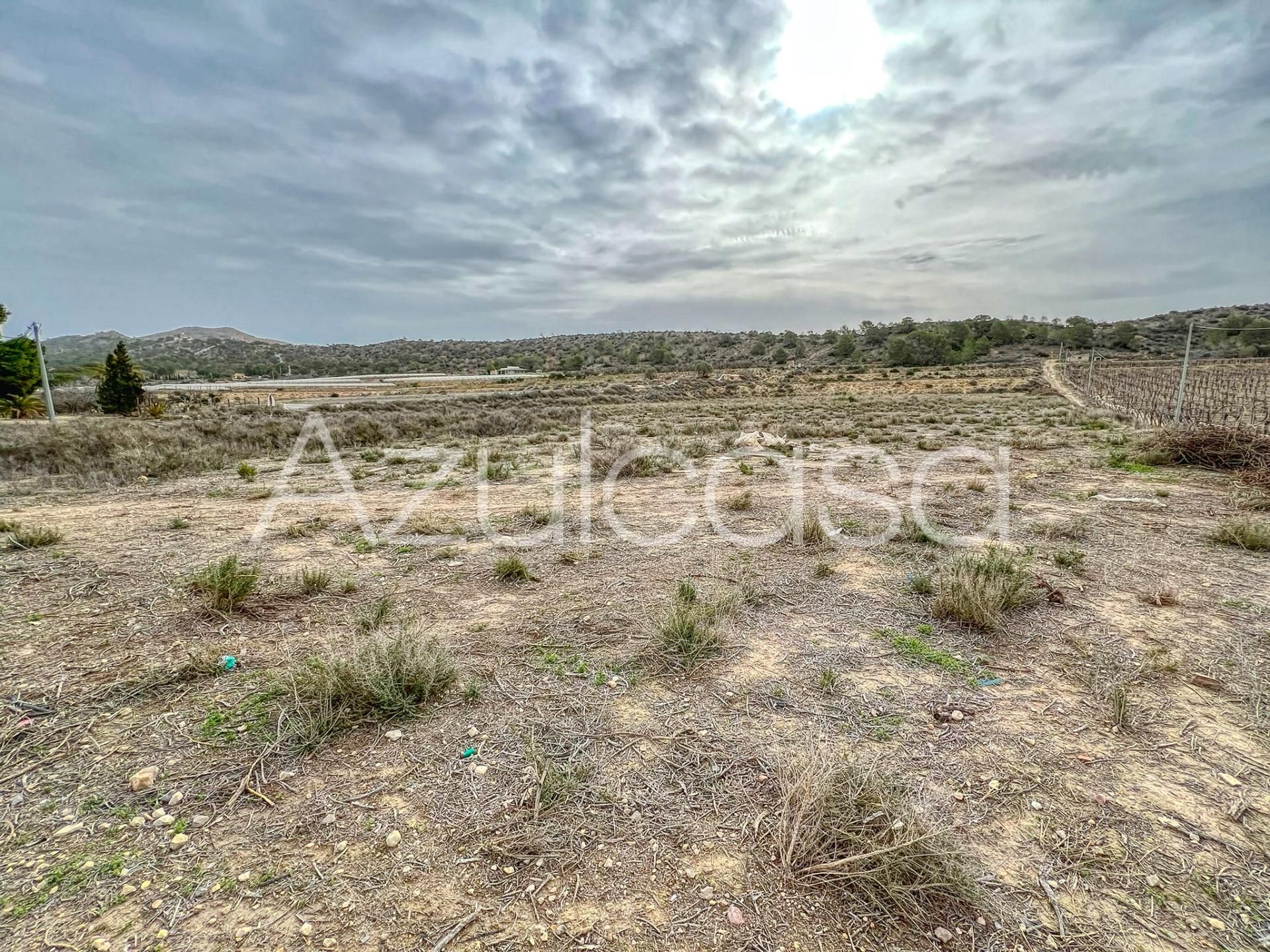 Terreno en venta en Monforte del Cid