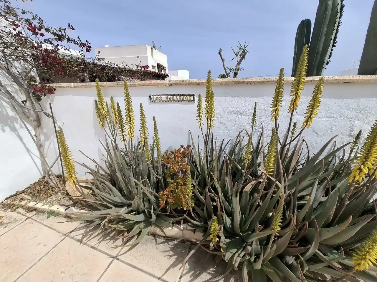 Jardí de Casa o xalet en venda en Mojácar amb Terrassa