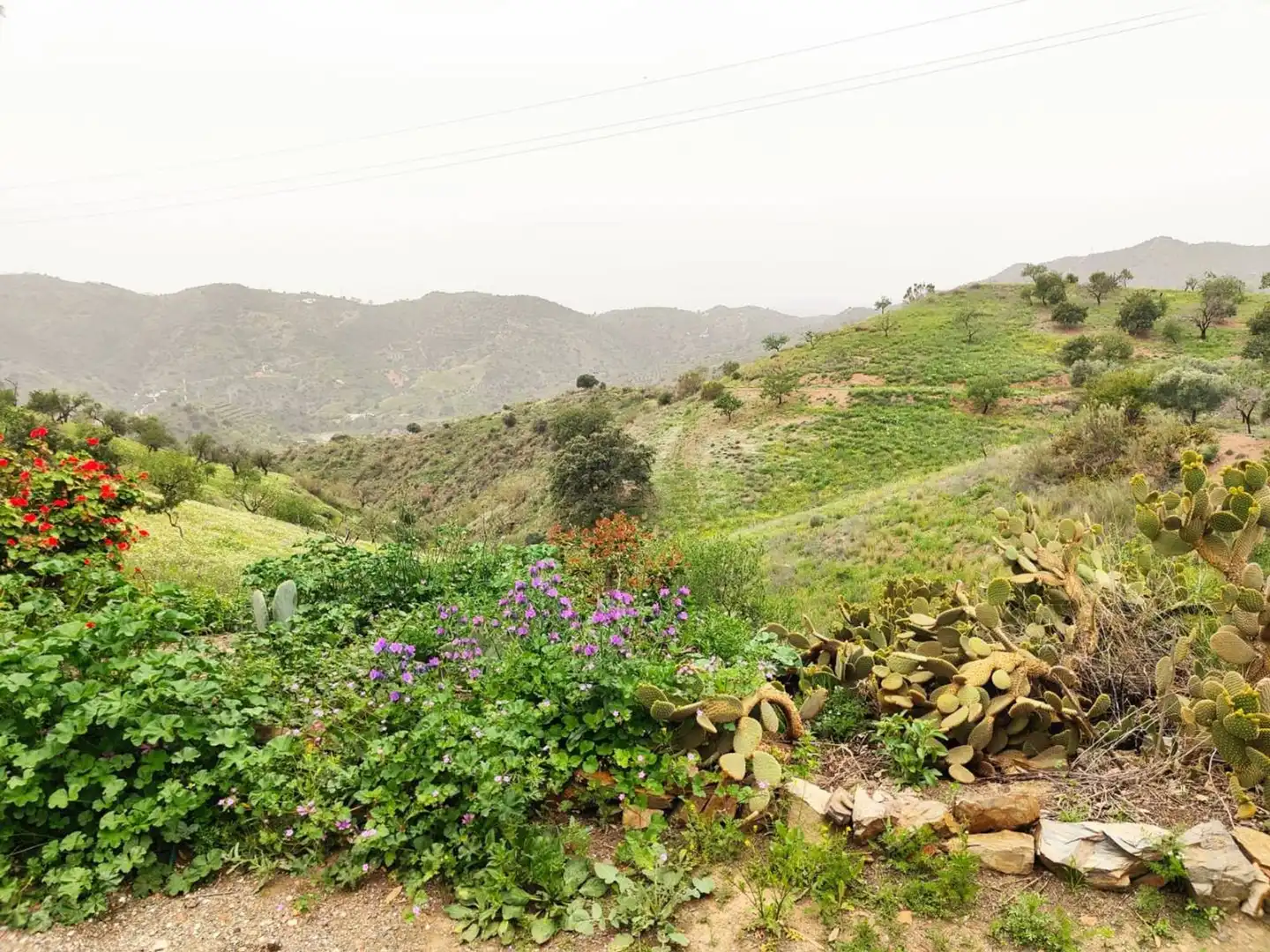 Residential zum Verkauf in Alegría de la Huerta- Jardín de Málaga