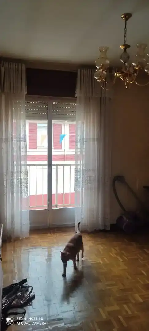 Terraza de Casa o chalet en venta en Sariegos