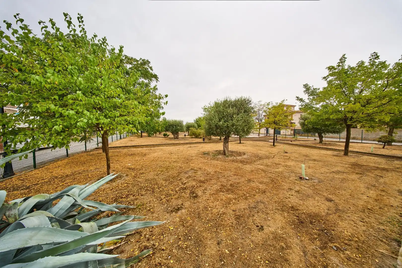 Casa con terraza en venta en Residencial Triana - Barrio Alto, imagen 70