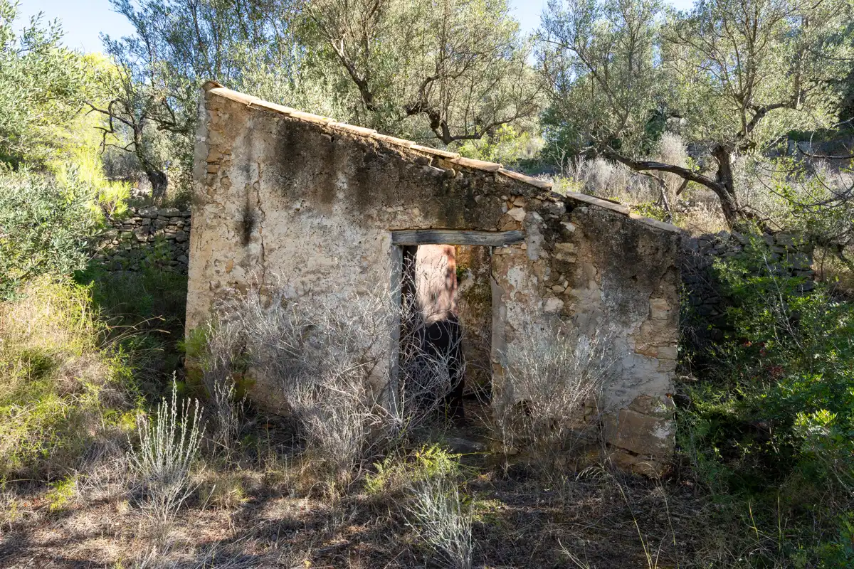 Terreny rústic en venda a Camí de la Potra de Pino 28, imagen 11
