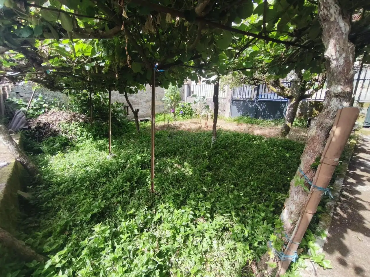 Casa o xalet en venda en Xunqueira de Ambía amb Calefacció, Jardí privat i Moblat