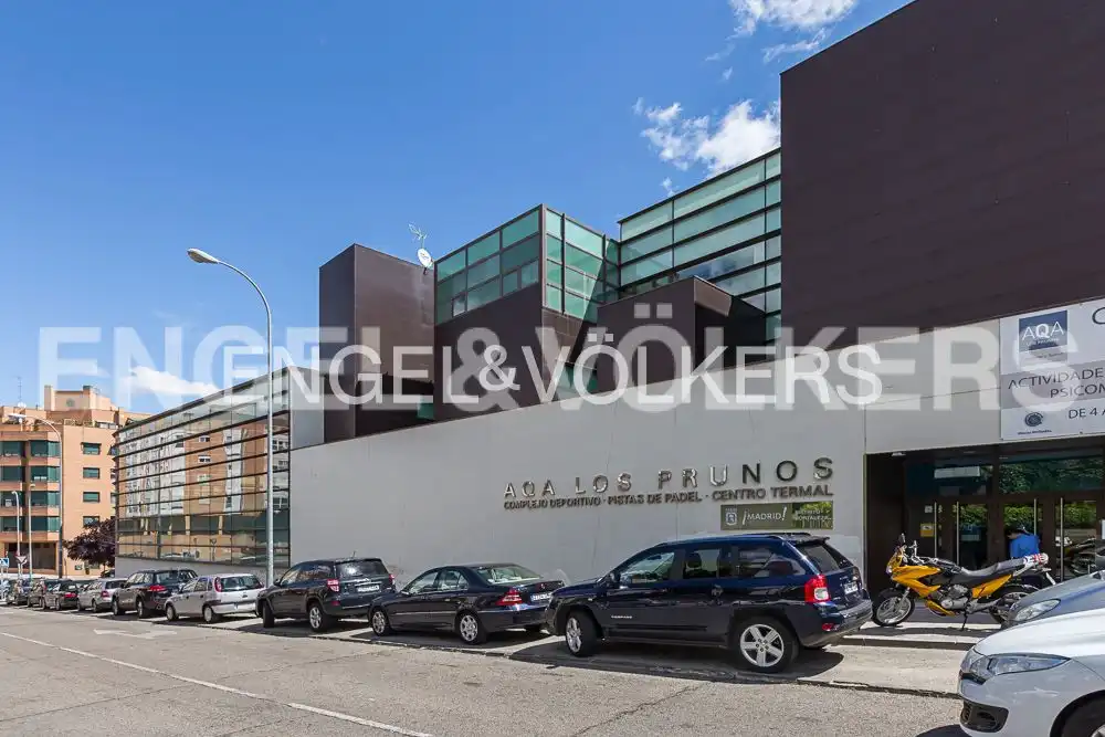 Houses for rent in Palomas