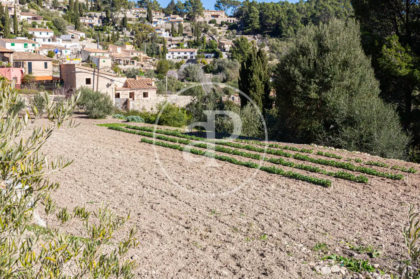 Residential for sale in Puigpunyent