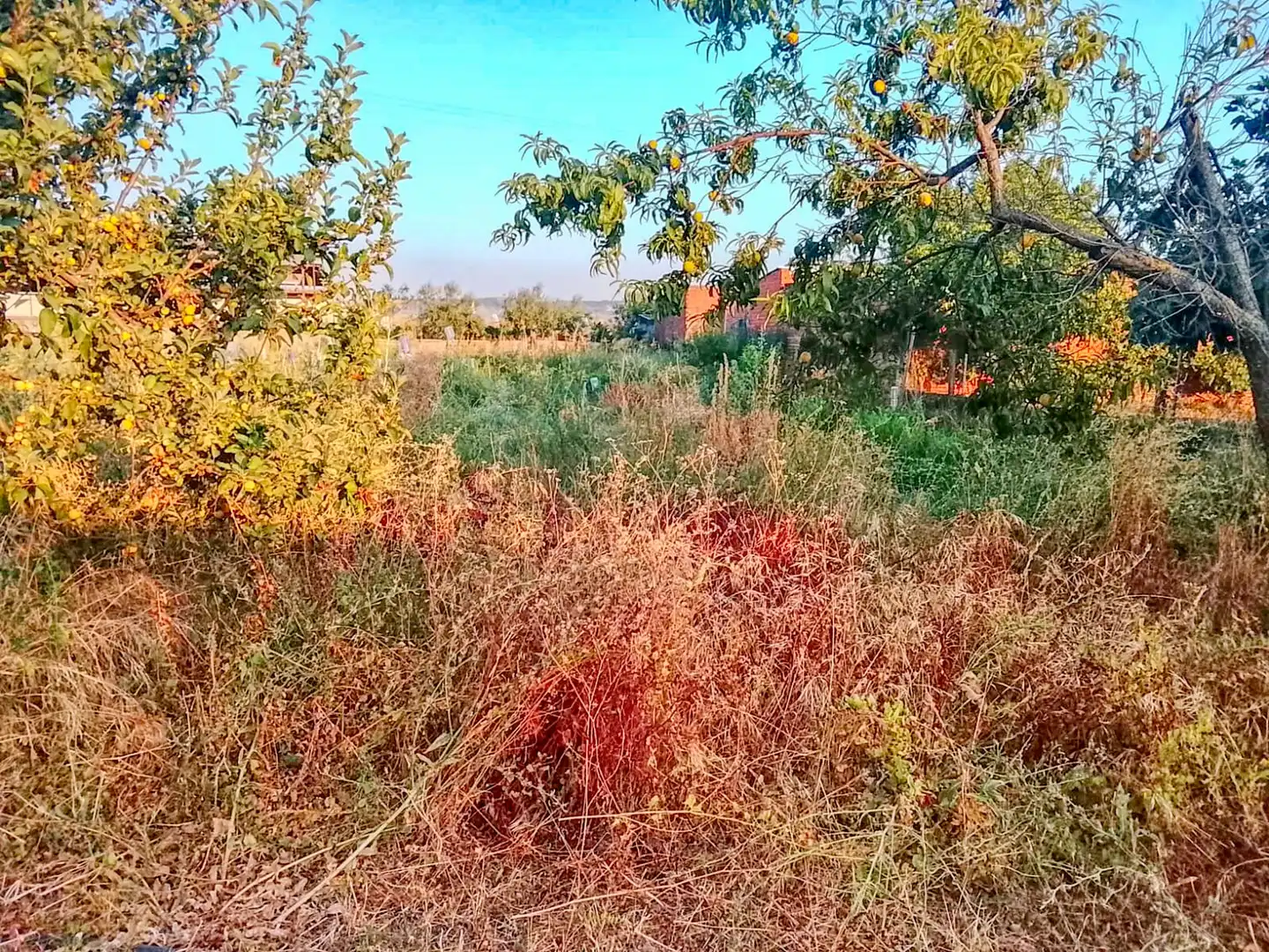 Terreno residenziale in vendita a Ur La Morena 8, imagen 2