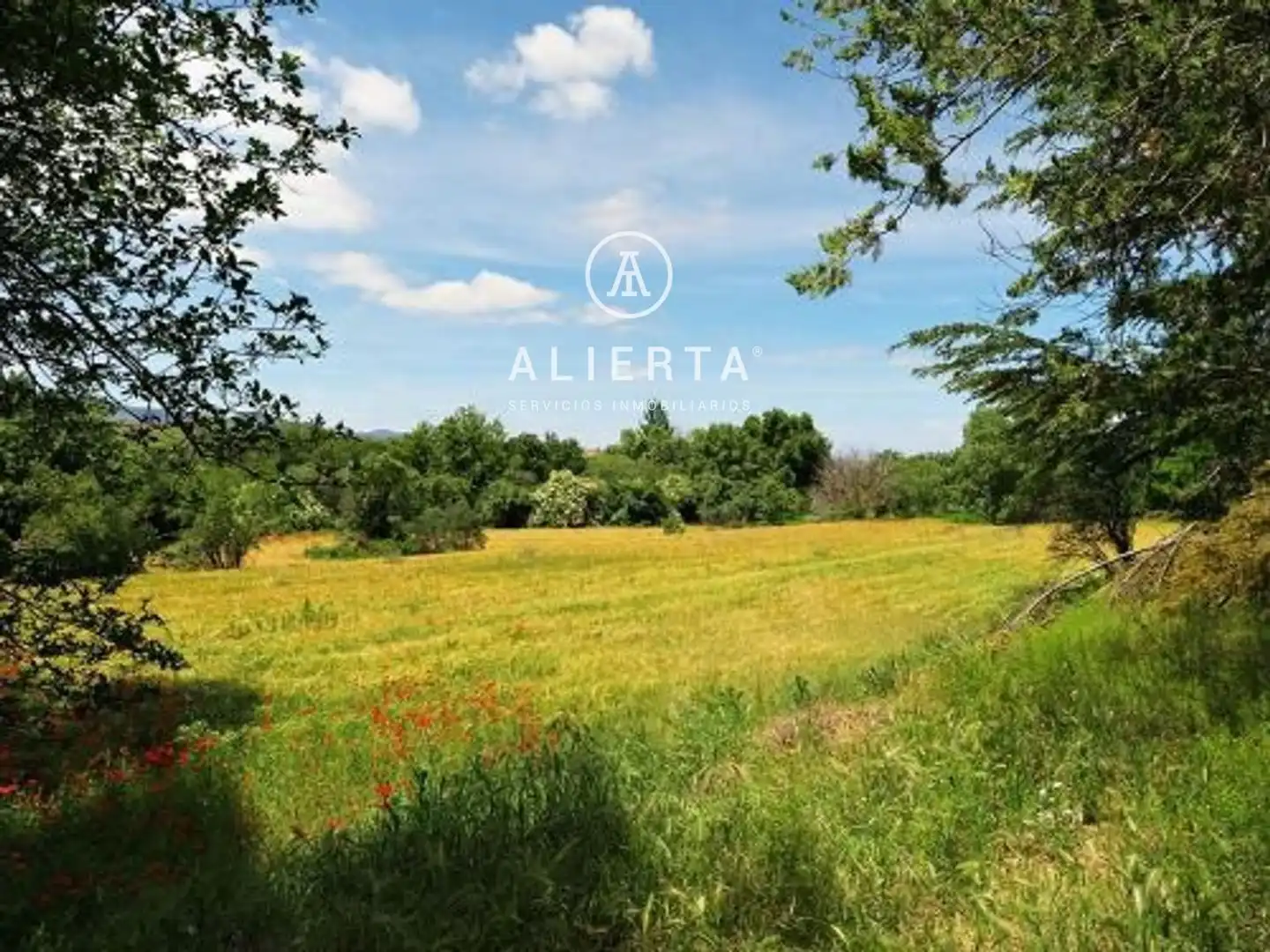 Chalet en venta en Sagunto-Burgos, imagen 35