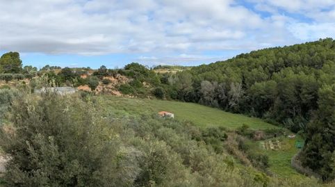 Foto 4 de Finca rústica en venda a Carrer del Torrent Fondo, 15, Sant Llorenç d'Hortons, Barcelona