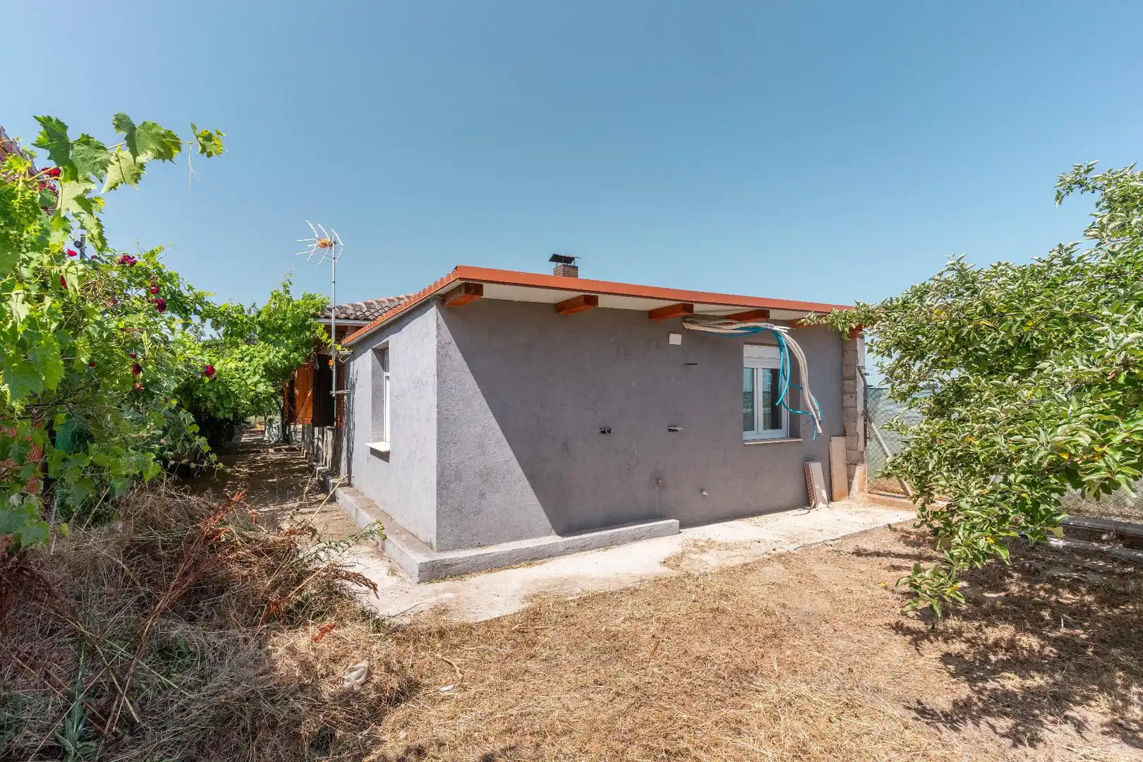 Vista exterior de Casa o chalet en venta en La Bañeza  con Jardín privado, Terraza y Trastero