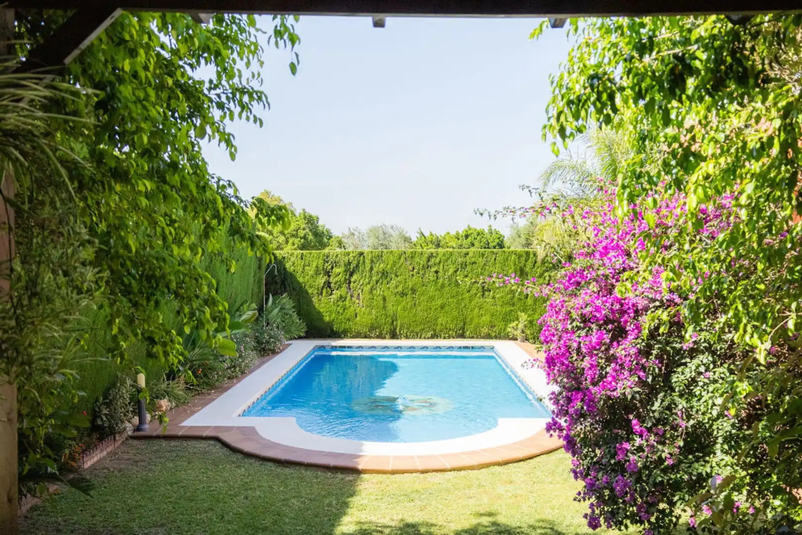 Piscina de Casa o xalet en venda en Alhaurín de la Torre amb Terrassa