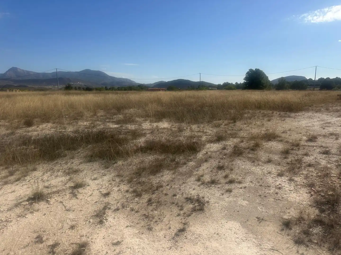 Rural land for sale in Biescas, imagen 8