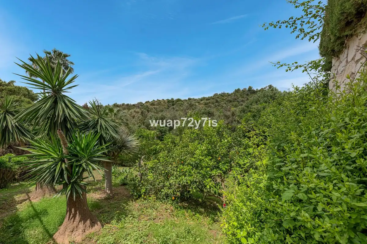 Adossat en venda a Las Chapas - El Rosario, imagen 45