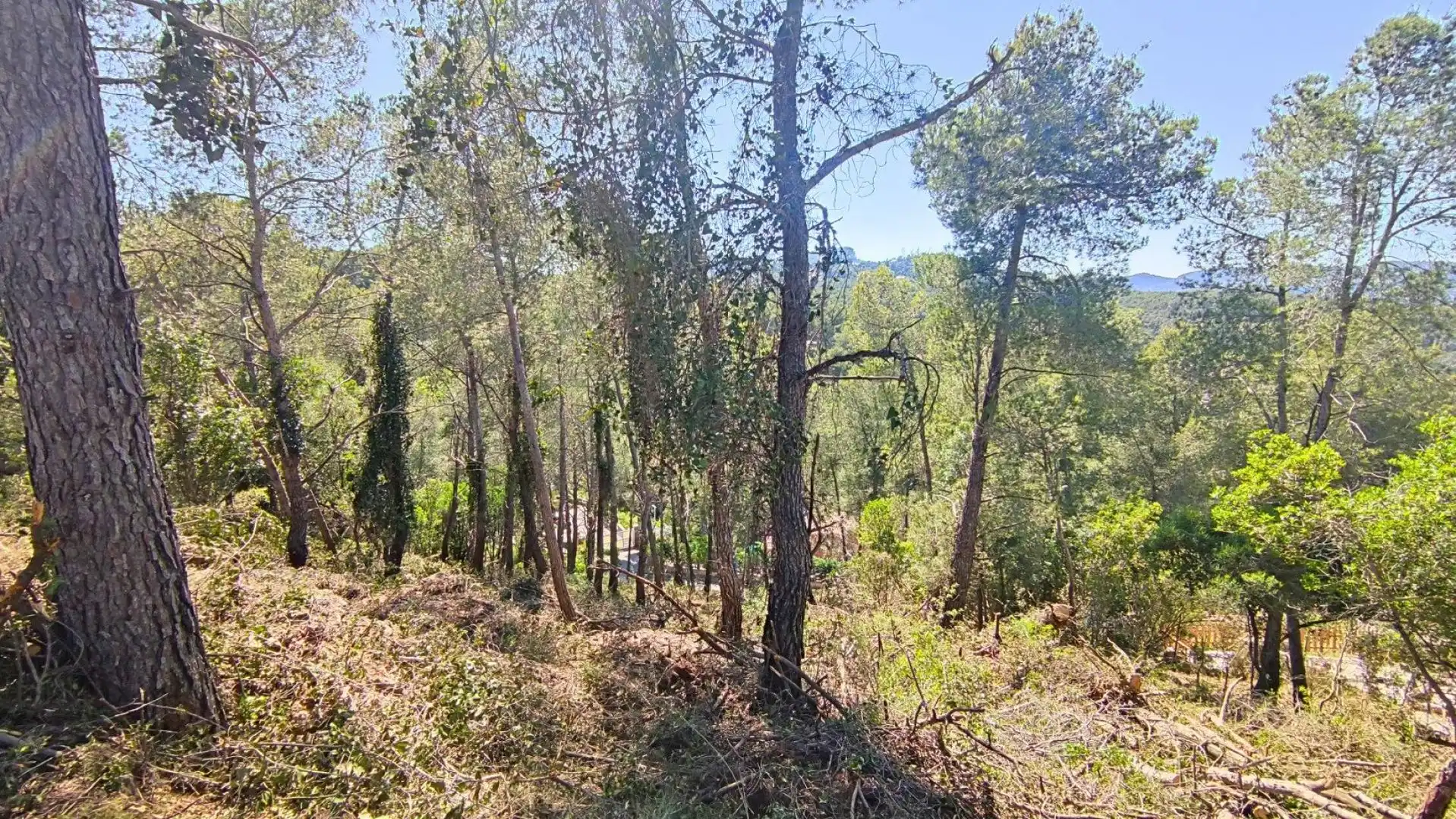 Wohnbaugrundstück zum Verkauf in Cervelló, imagen 17