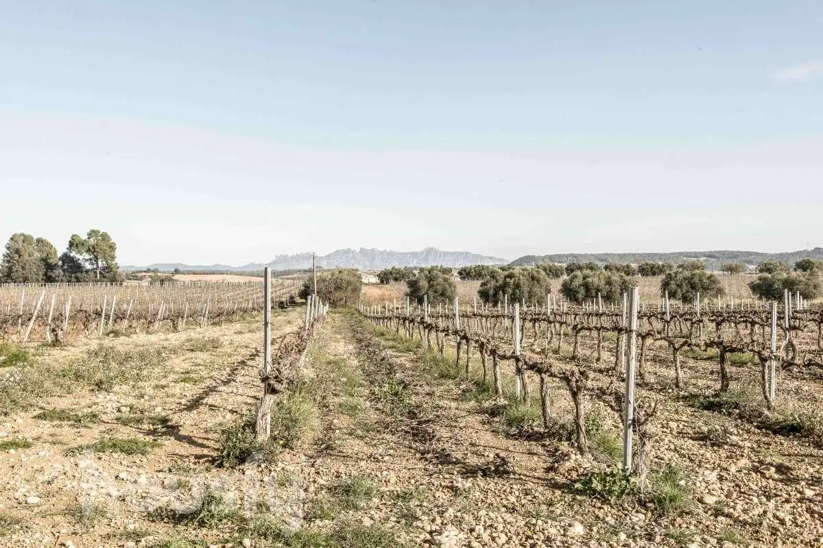 Casa o chalet en venta en Font-rubí con Calefacción, Jardín privado y Terraza