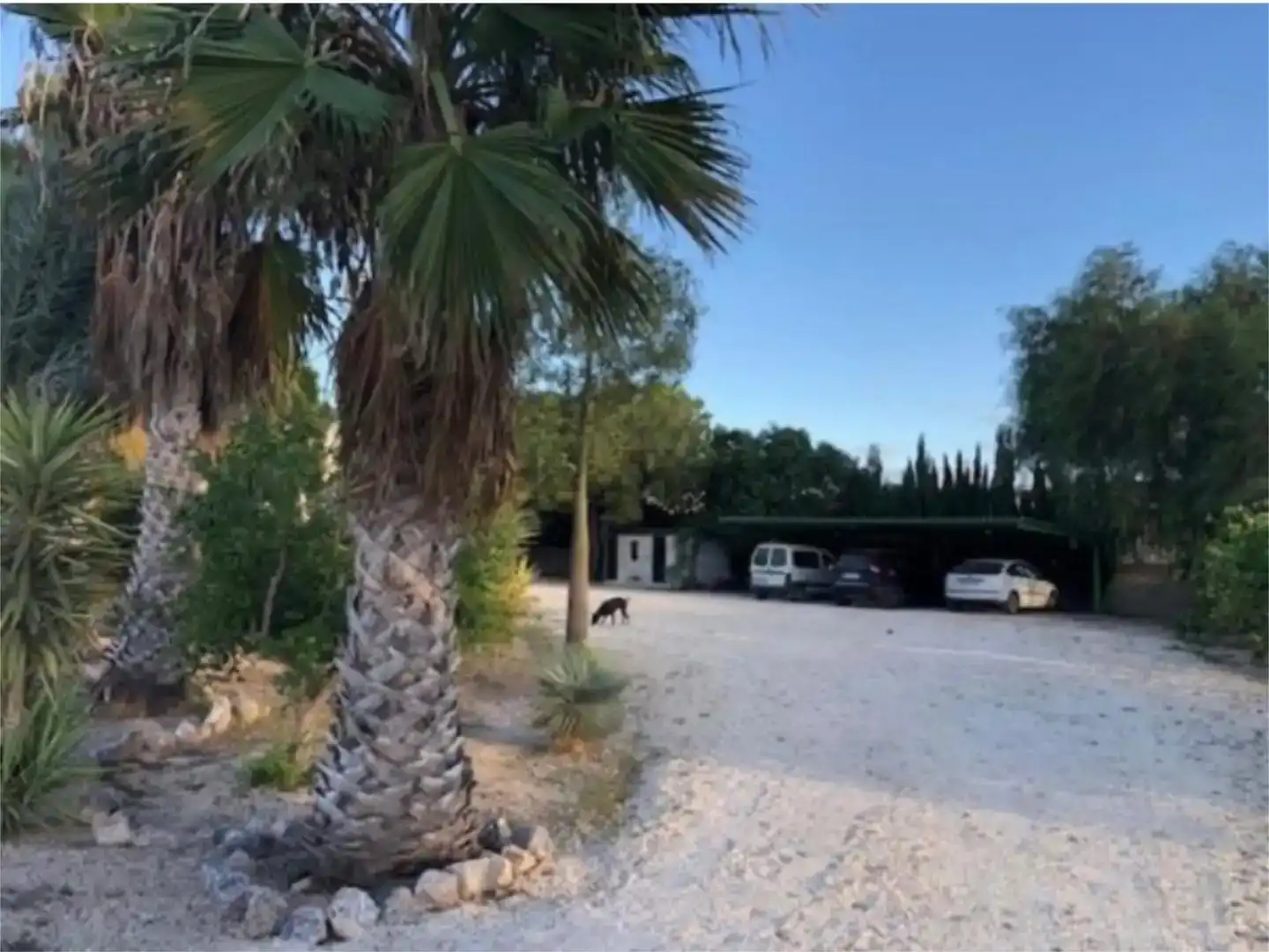 Vista exterior de Piso en venta en Elche / Elx con Aire acondicionado, Piscina y Balcón