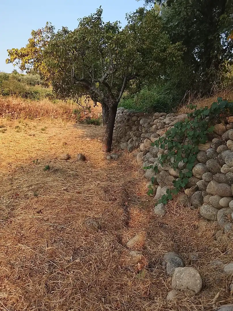 Terreni e lotti in vendita a Villanueva de la Vera, imagen 21