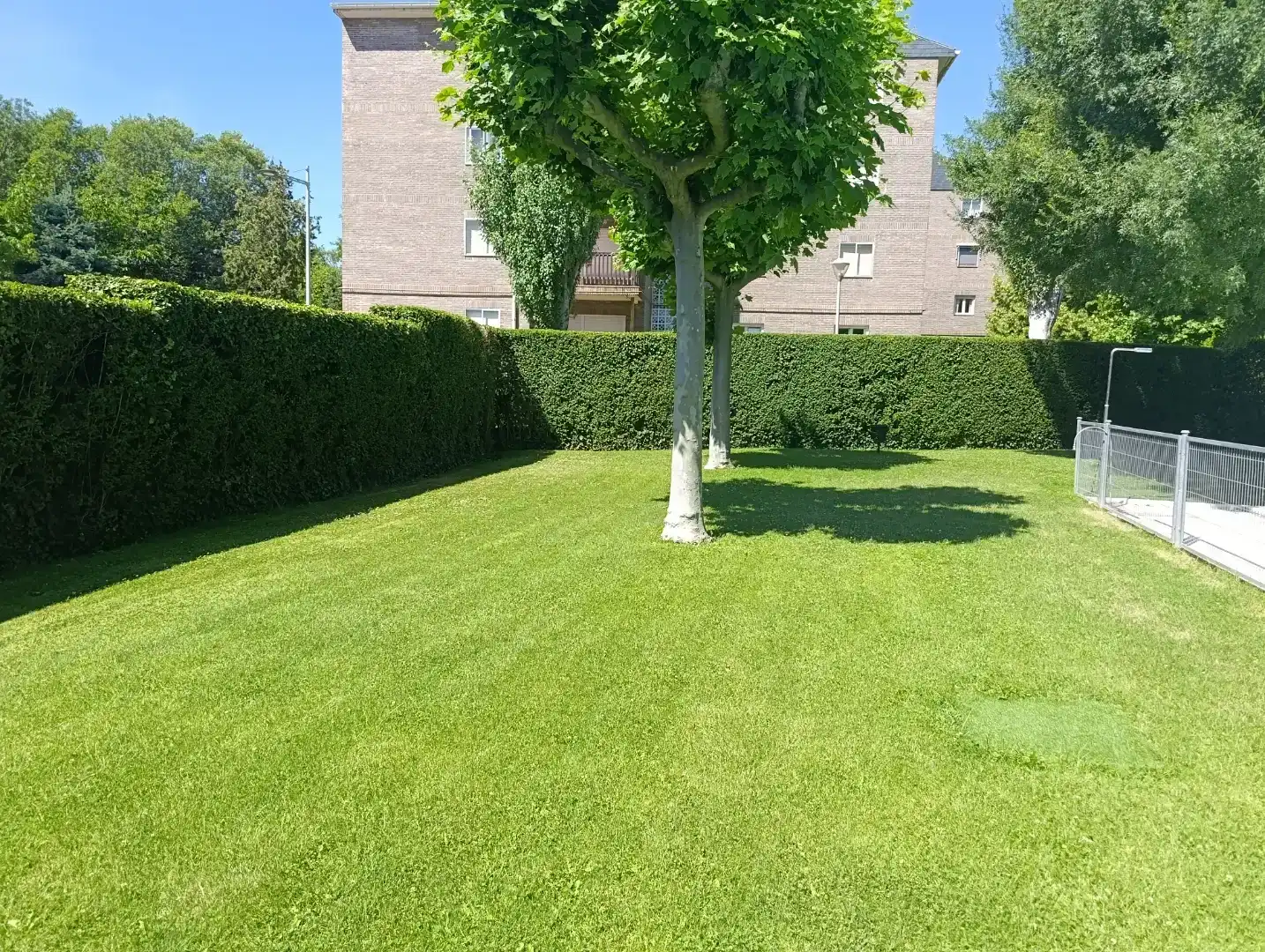Garden of Flat for rent in Guadarrama, Madrid