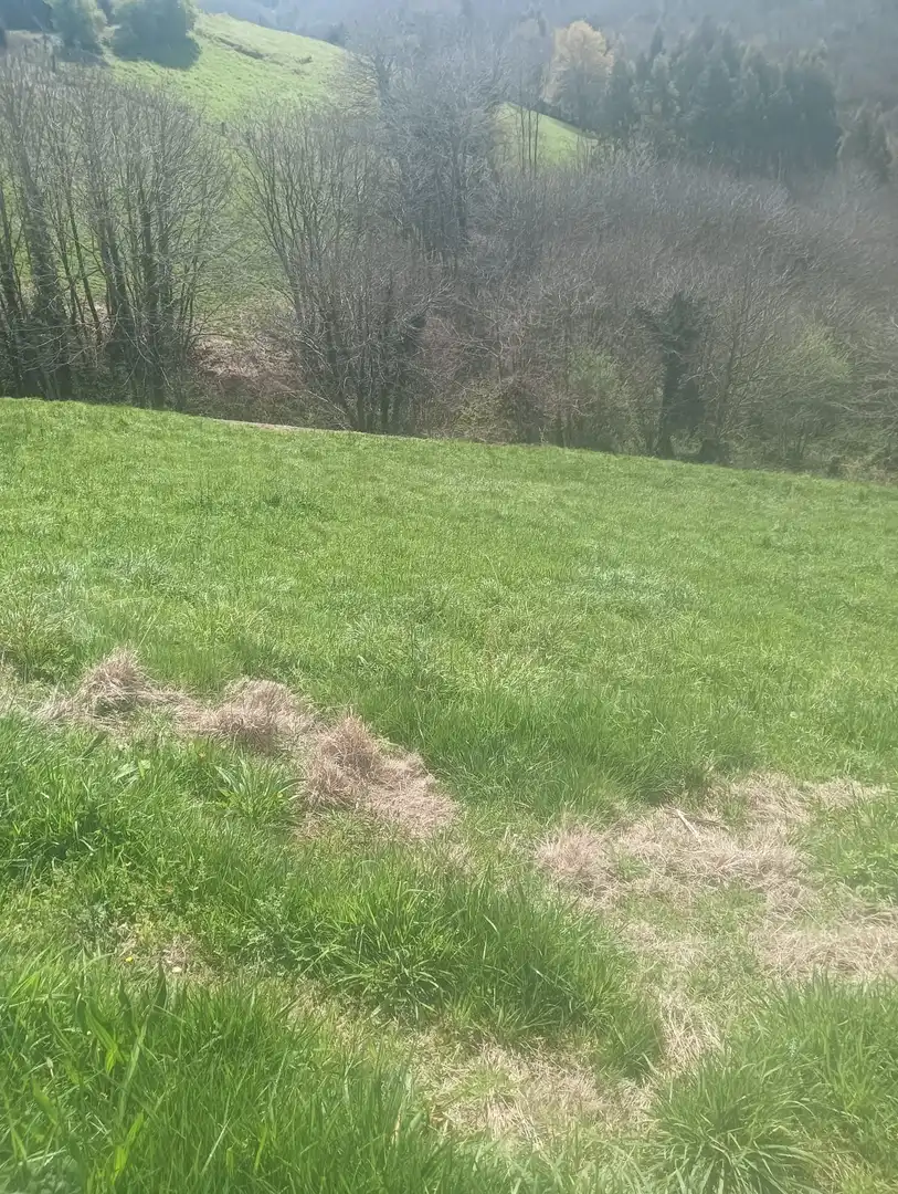 Terreny en venda en Tineo