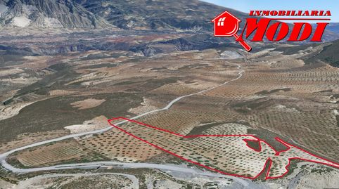 Finca rustica con 19.492 metros cuadrados. El acceso a la finca es bueno, camino de tierra, pero bien pavimentado. La finca tienes, immagine 3