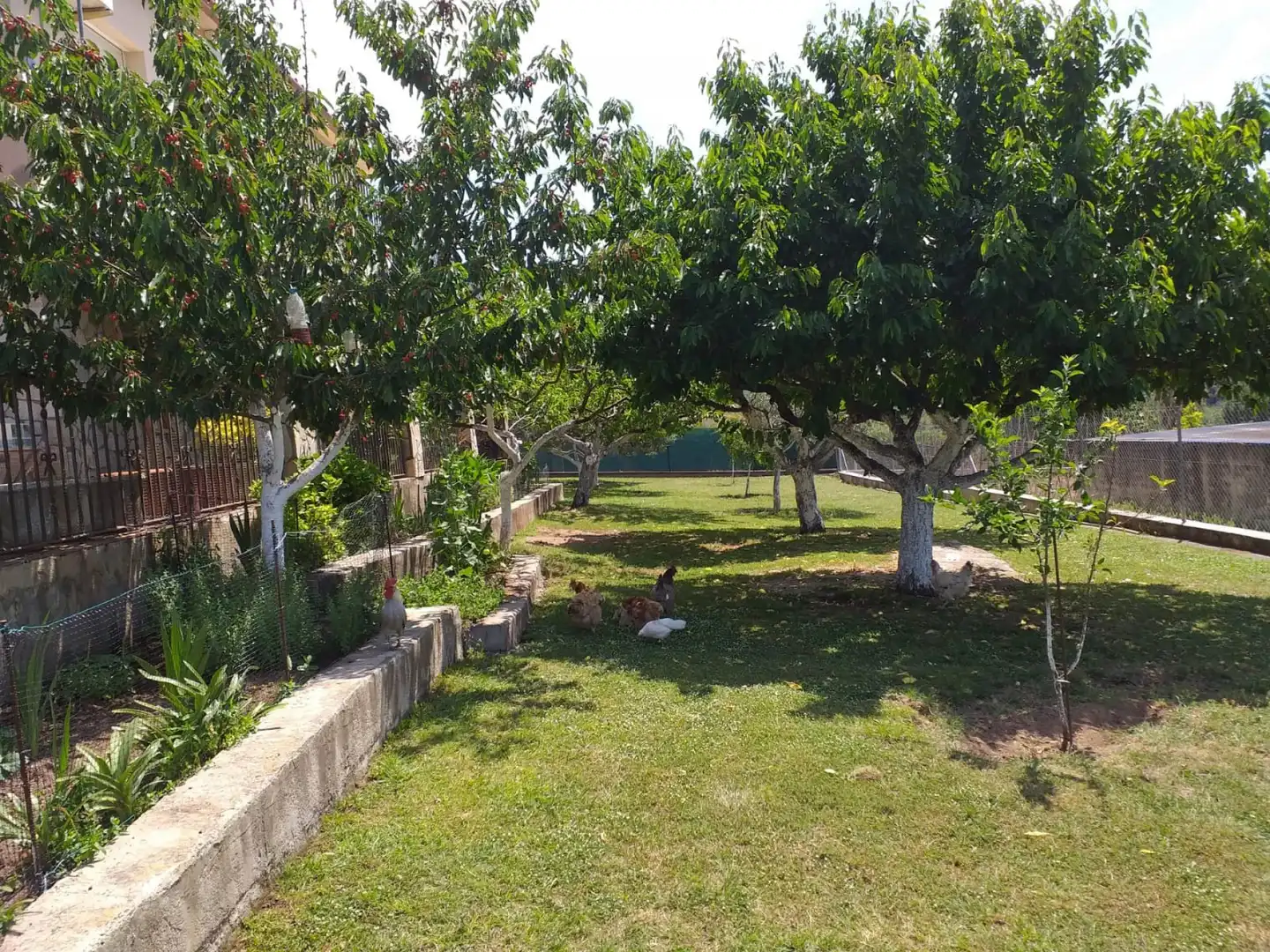 Villa mit Garten zum Verkauf in Sant Feliu de Buixalleu, imagen 21
