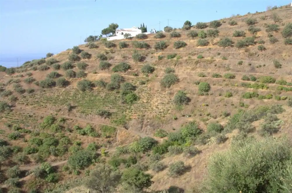 Rustikales Grundstück zum Verkauf in Torrox Pueblo, imagen 3