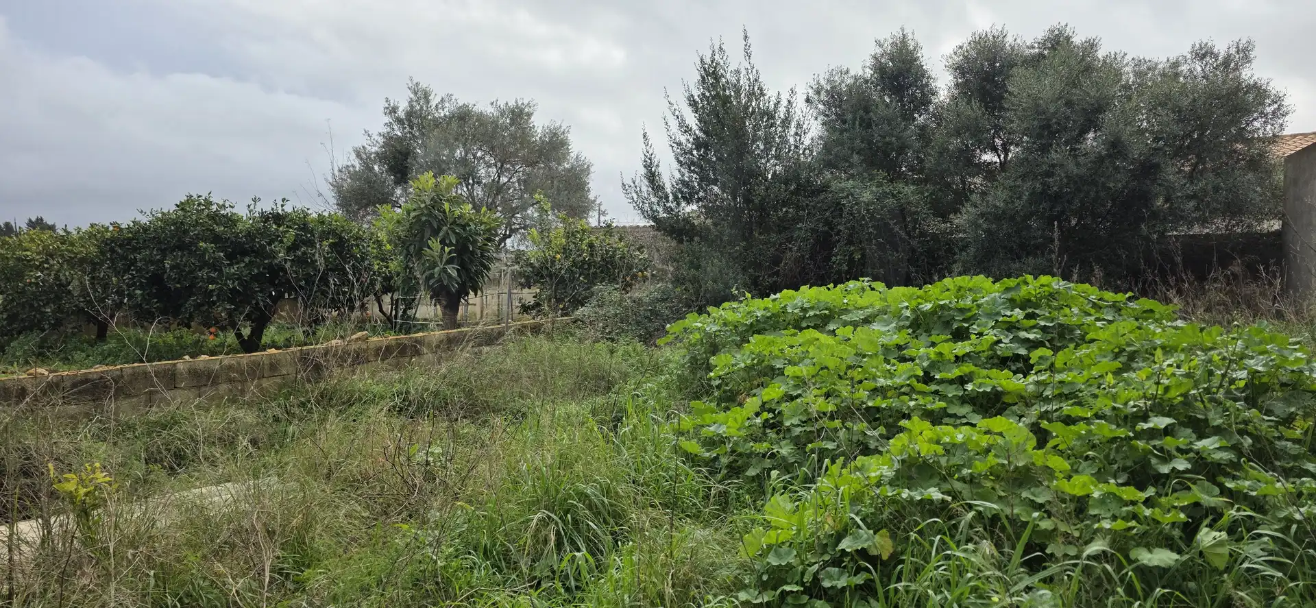 Residential land for sale in Sant Llorenç des Cardassar, imagen 4