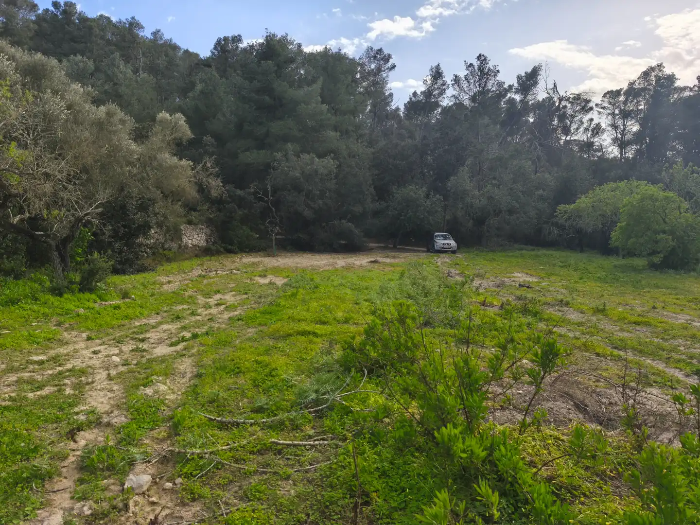 Terreno rustico in vendita a Sant Joan, imagen 7