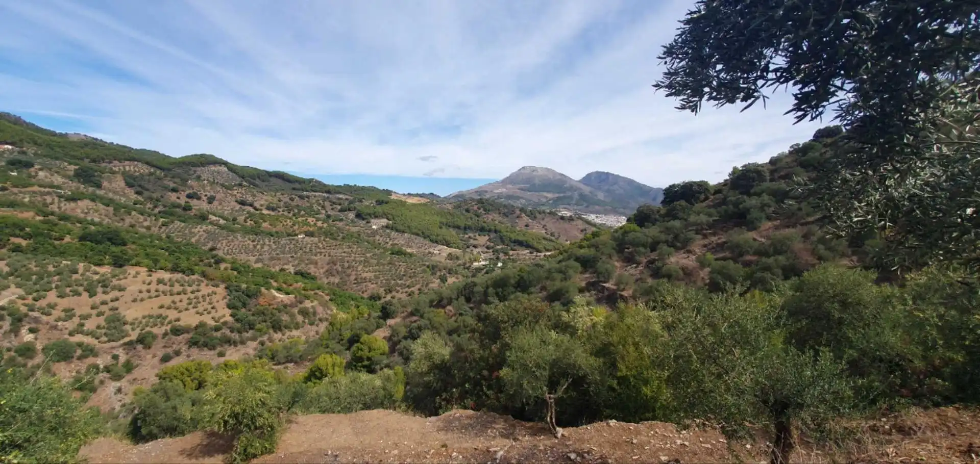 Terreni e lotti in vendita a Yunquera, imagen 4