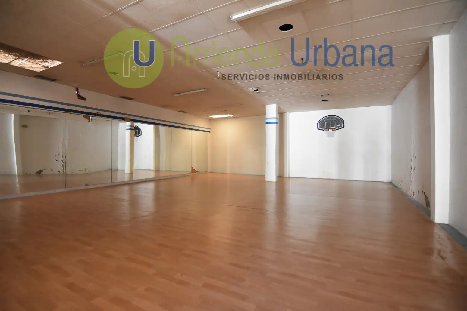 Commercial properties for sale in CL JARDINES, Centro