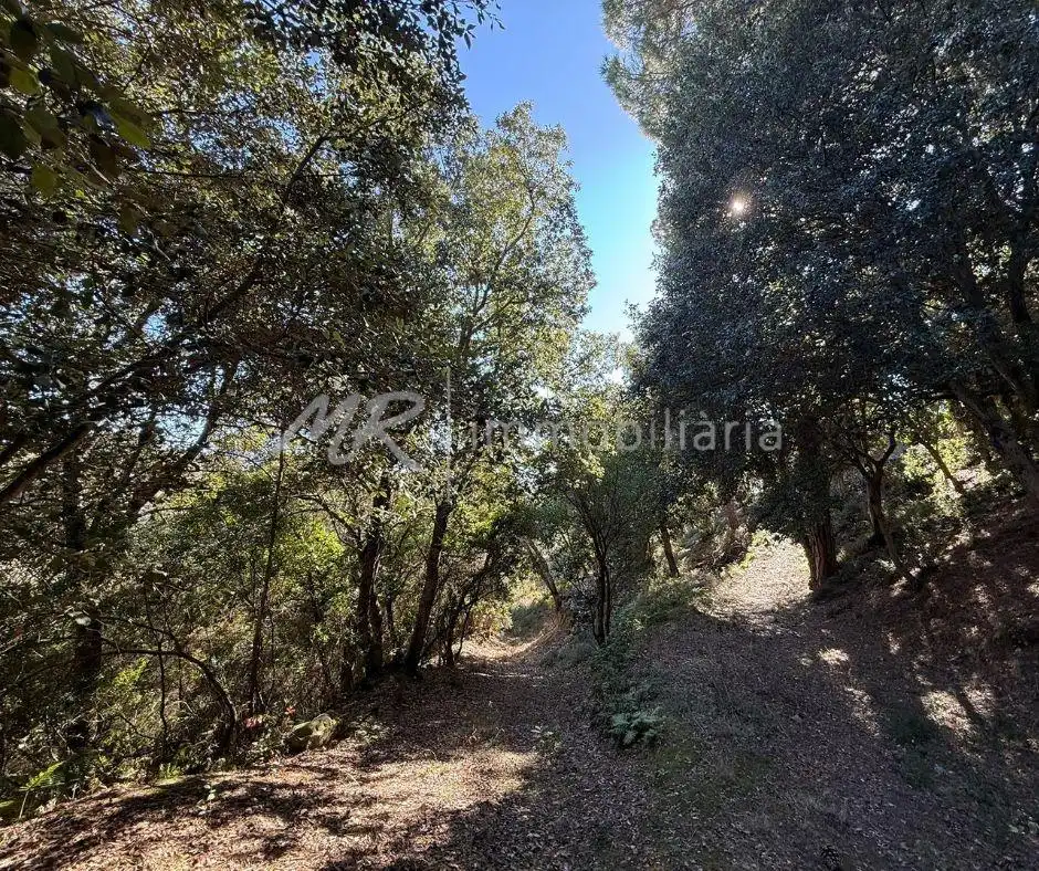 Casa o chalet en venta en Dosrius con Calefacción, Jardín privado y Terraza