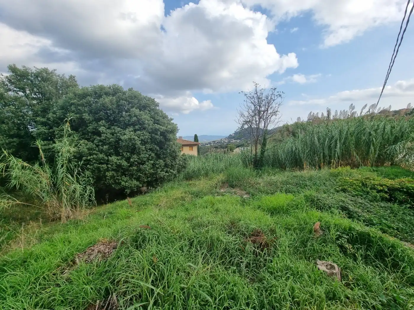 Lands and plots for sale in Calle BAGES, imagen 8