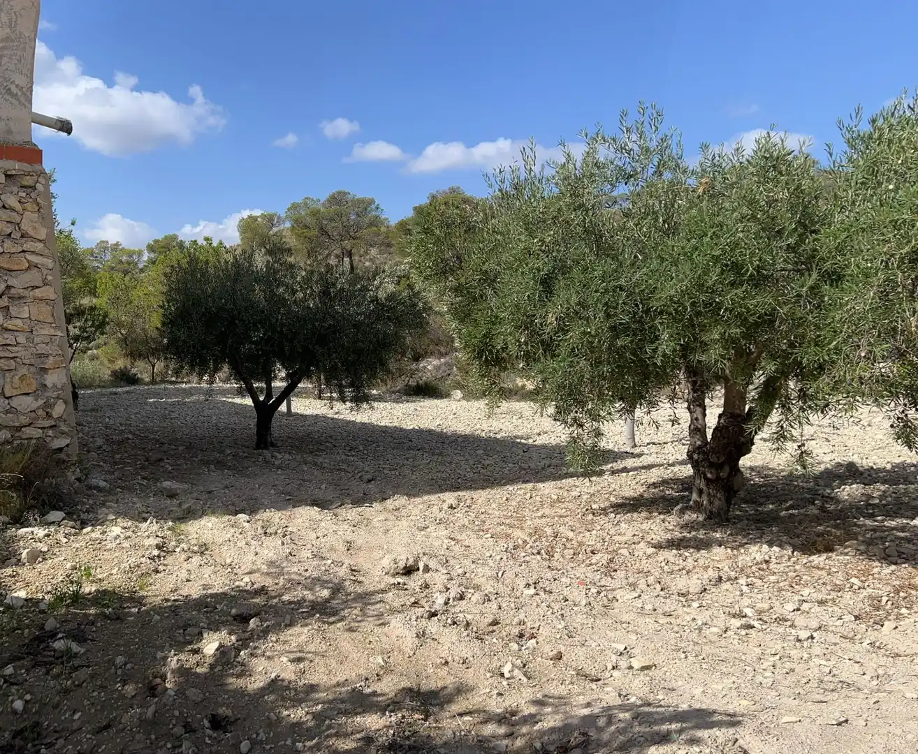 Casa rústica amb jardí en venda a cañada de la leña, imagen 15