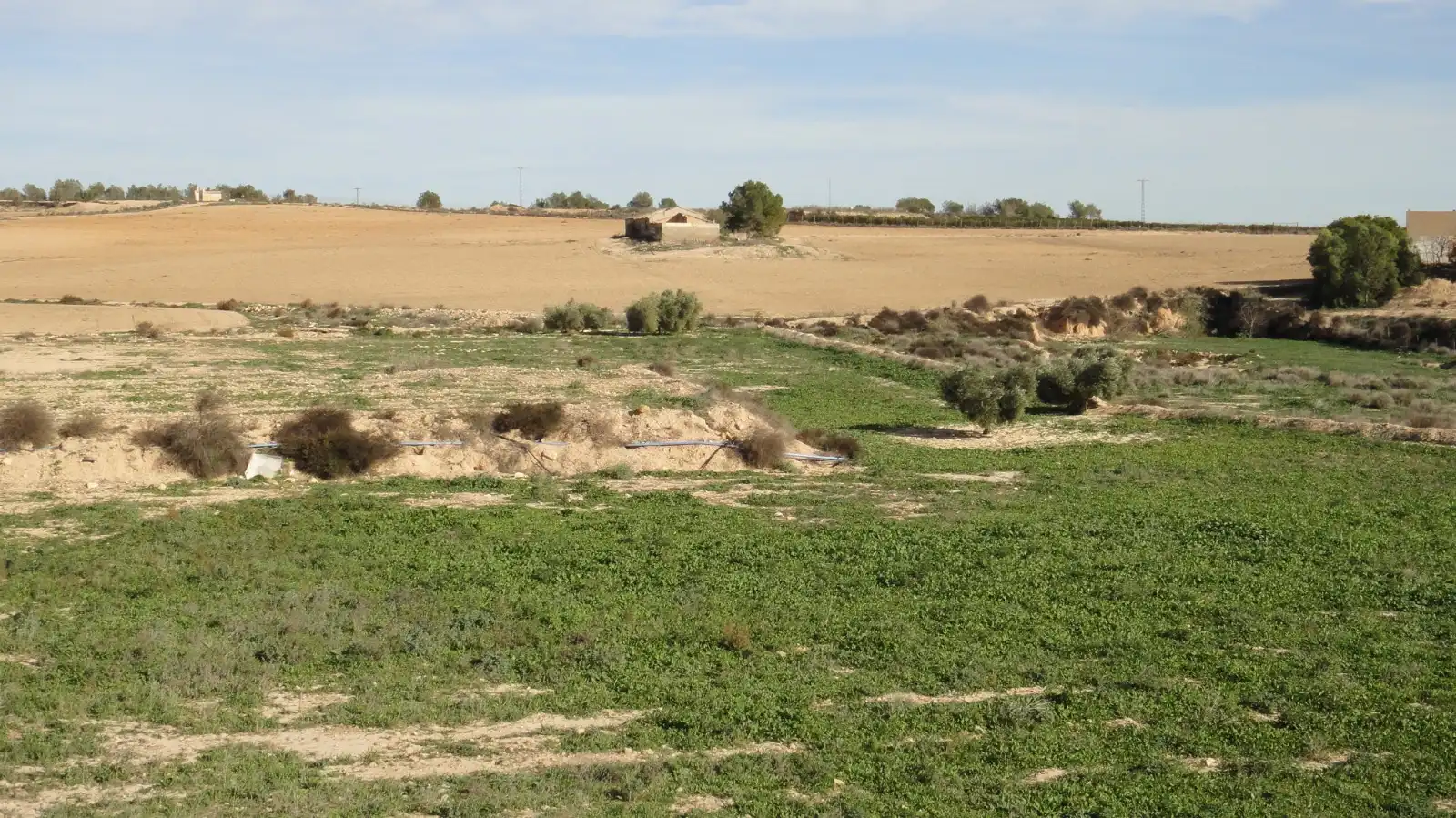 Terreno rustico in vendita a Campo de Murcia, imagen 3