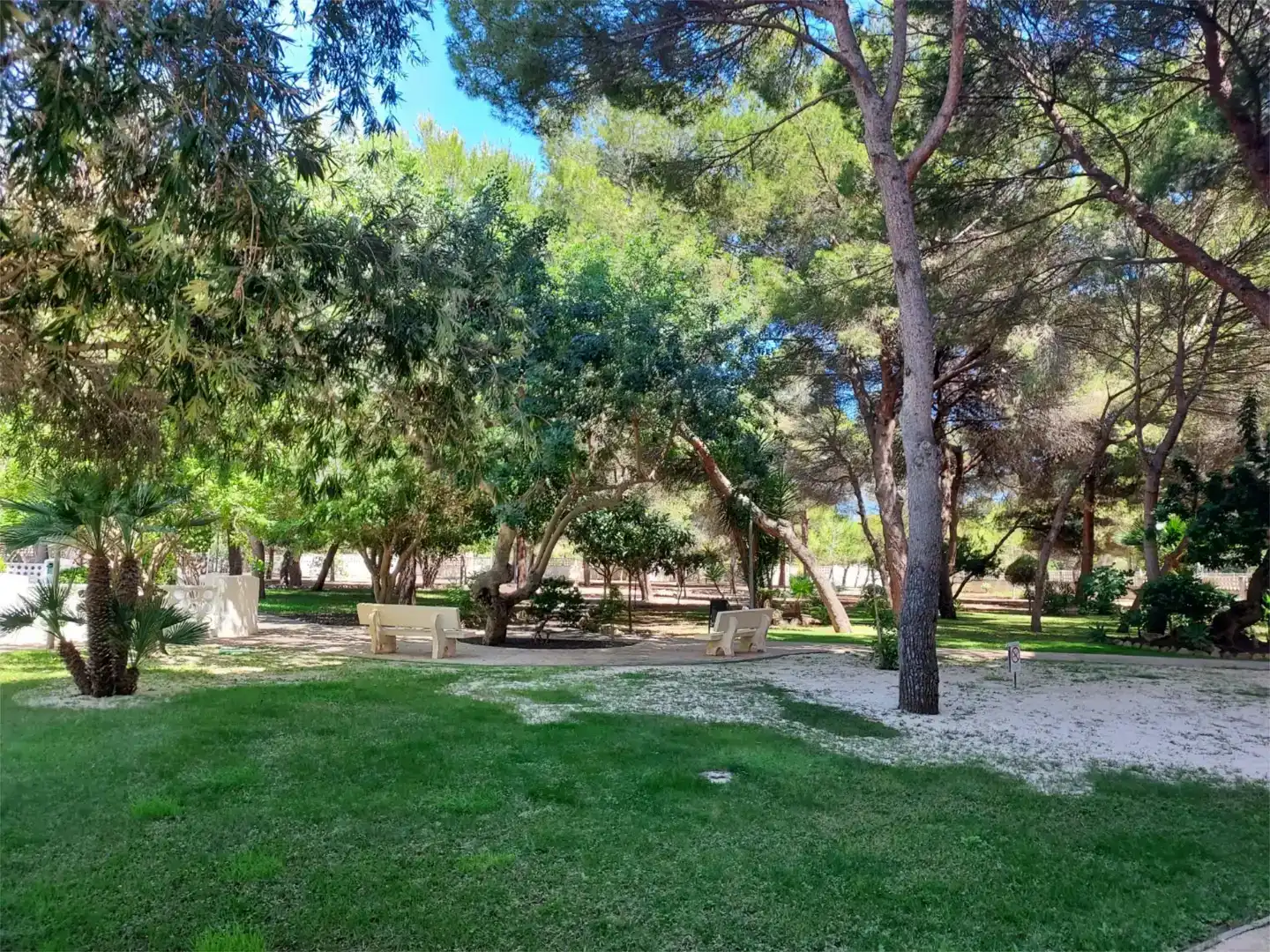 Jardí de Apartament de lloguer en Orihuela amb Aire condicionat, Piscina i Balcó