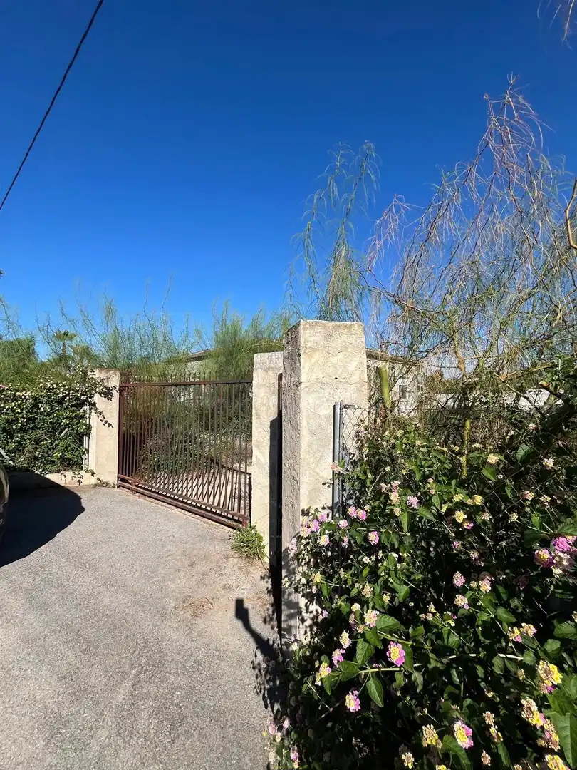 Vista exterior de Finca rústica en venta en Crevillent