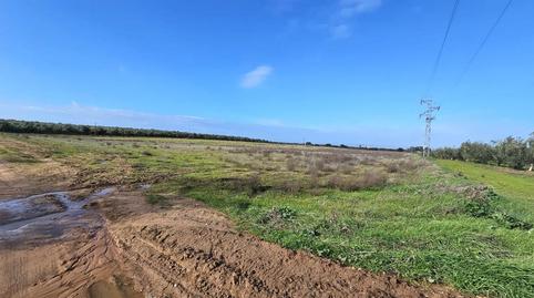Photo 4 of Land for sale in Maria Auxiliadora - Barriada de Llera, Badajoz Capital