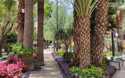 Exterior view of Flat for sale in Elche / Elx  with Terrace and Storage room