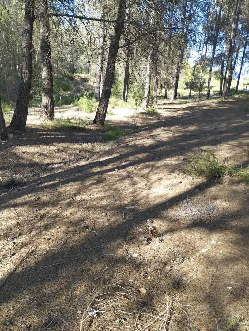 Lands and plots for sale in L'Olleria, imagen 4