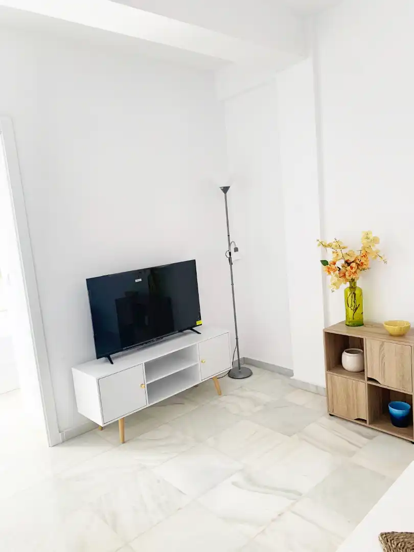 Sala d'estar de Apartament de lloguer en Granada amb Aire condicionat, Calefacció i Parquet