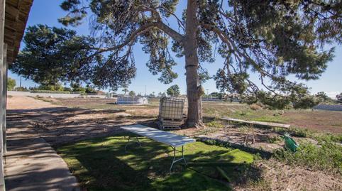 Foto 5 de Finca rústica en venda a Ciutat Universitària, Alicante
