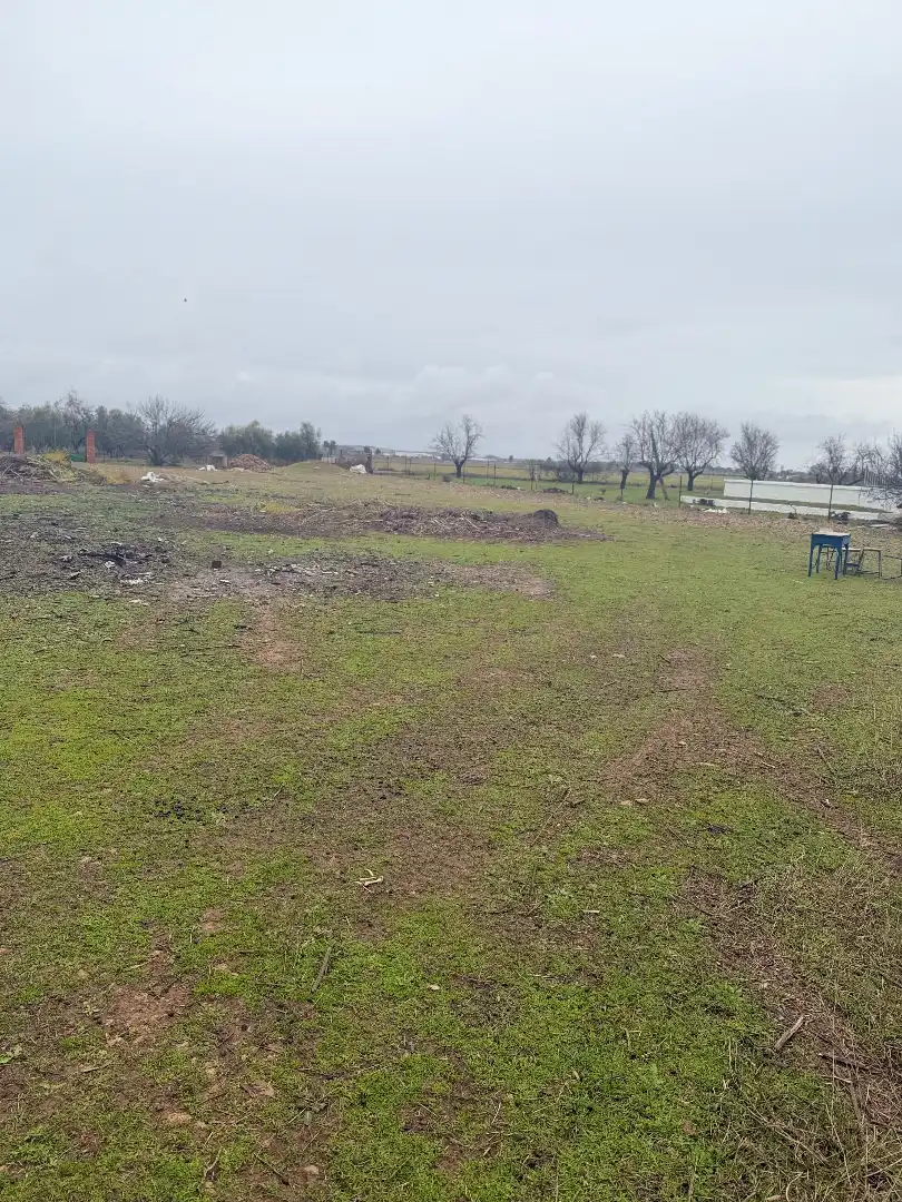 Land for sale in Miguelturra