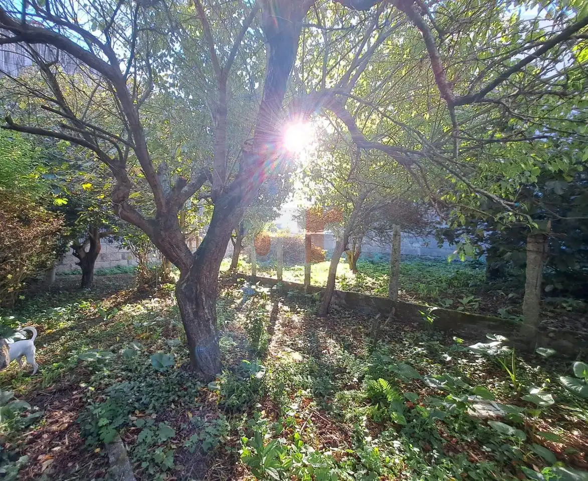 Garten von Country house zum Verkauf in Moaña, Pontevedra