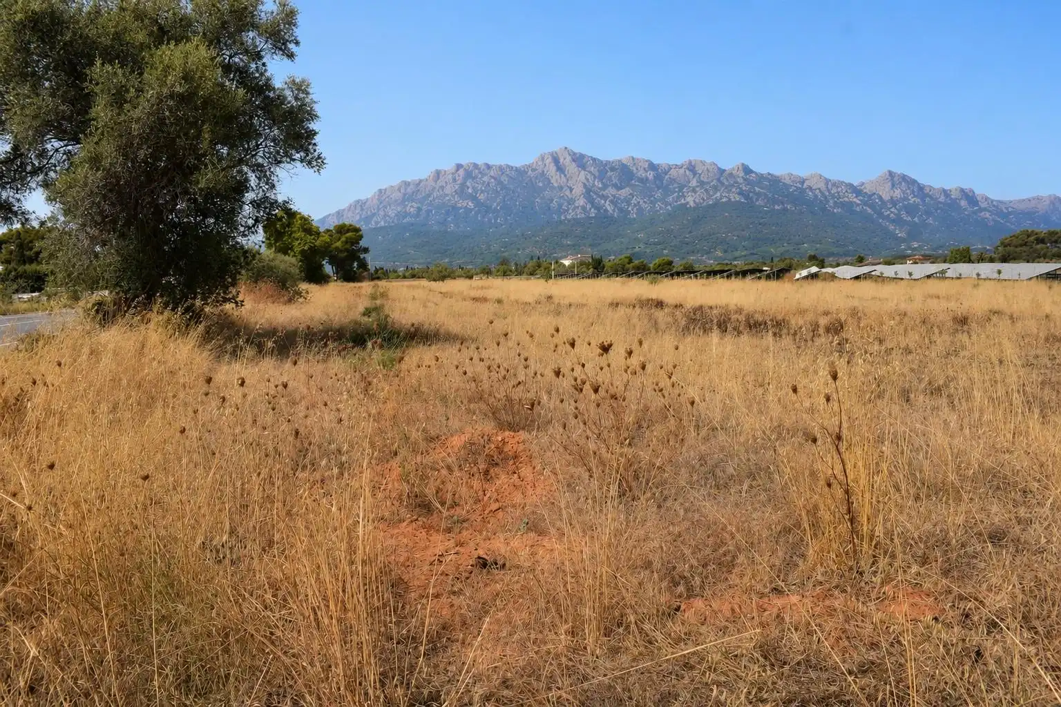 Terreny residencial en venda a Santa María del Camí