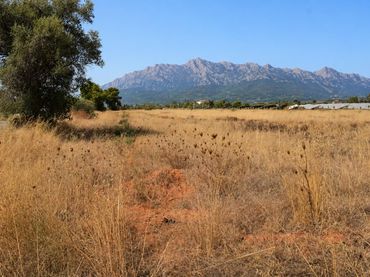 Residential land for sale in Santa María del Camí