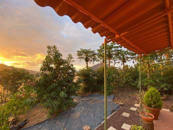 Finca rústica en Venta en Médico Estévez en Santa María de Guía de Gran Canaria