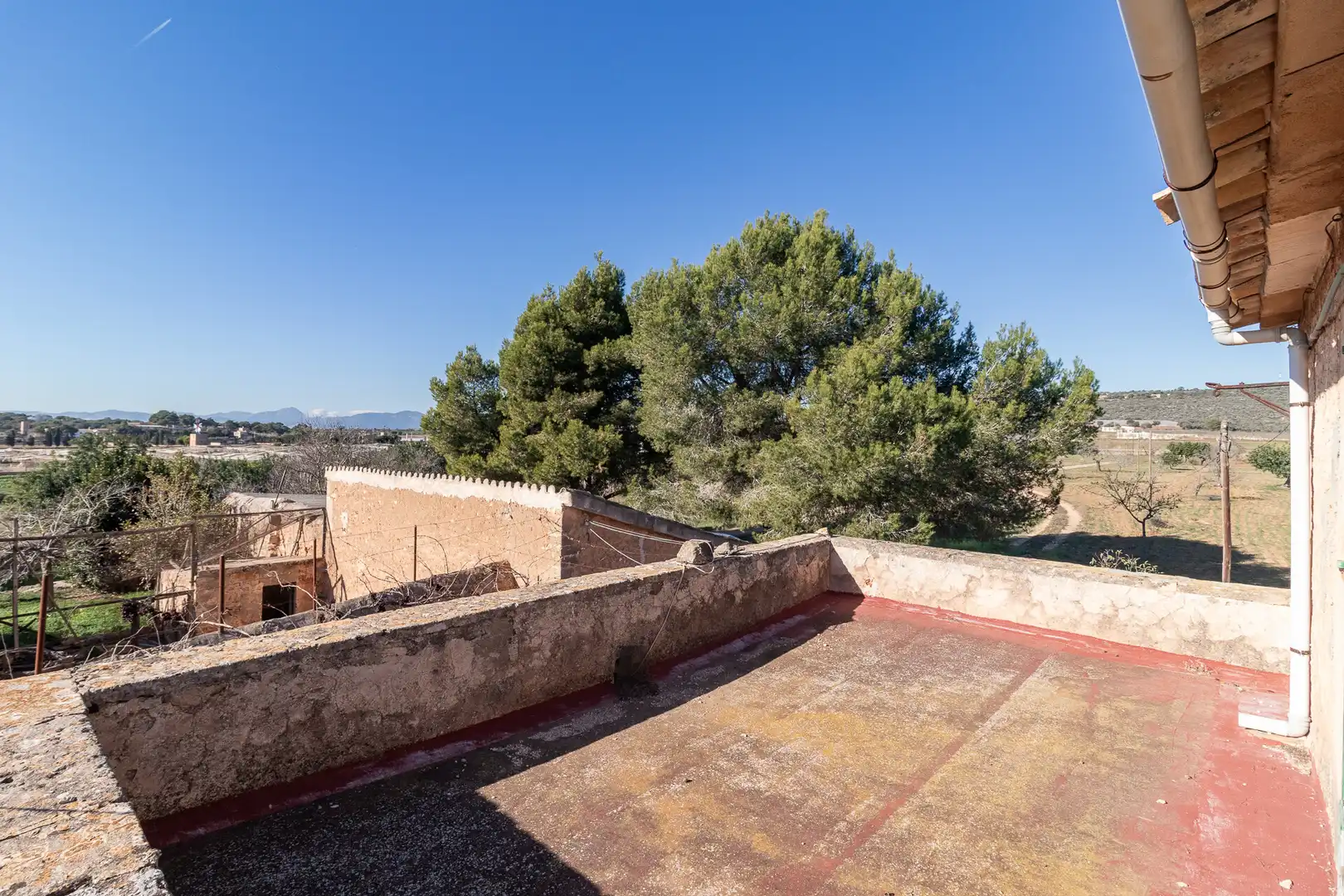 Vista exterior de Finca rústica en venta en  Palma de Mallorca