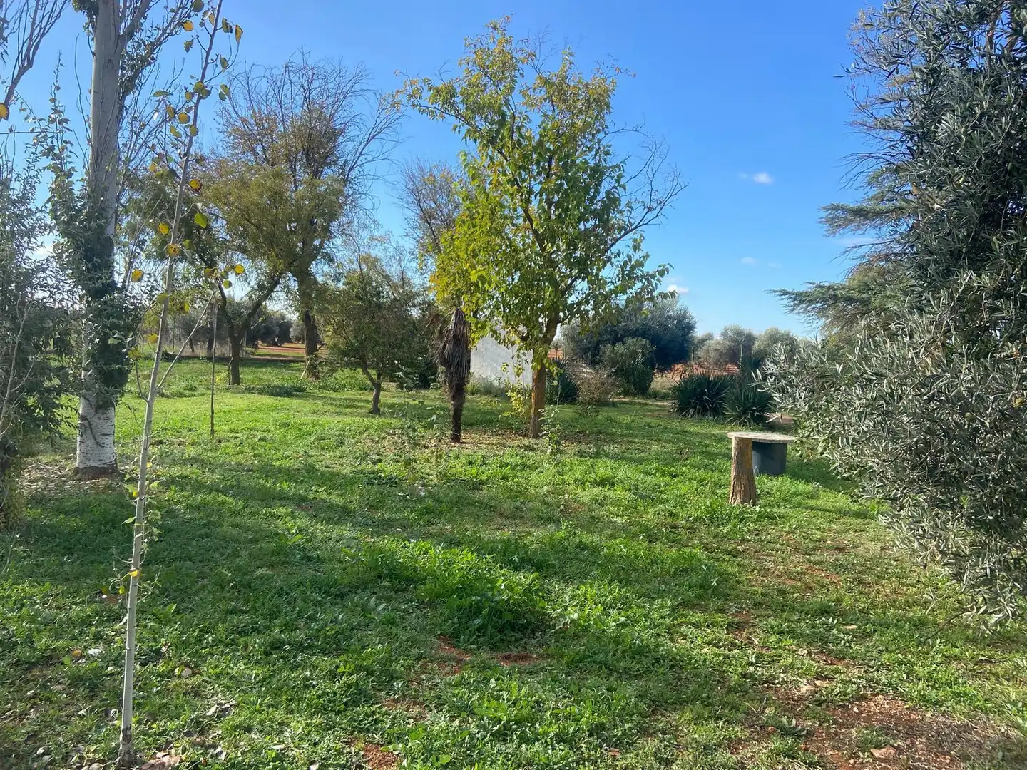 Casa o chalet en venta en Almagro con Aire acondicionado, Calefacción y Jardín privado