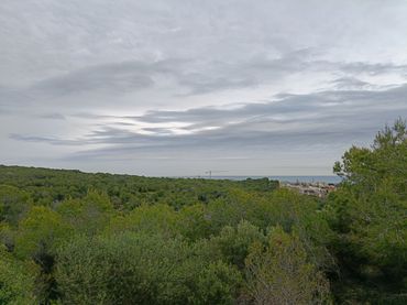 Terrain résidentiel à vendre à Carrer de Cunit Parc 46