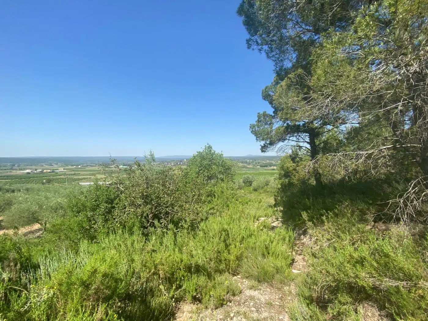 Terreno rustico in vendita a POLÍGONO 10 PARCELA 493, imagen 30